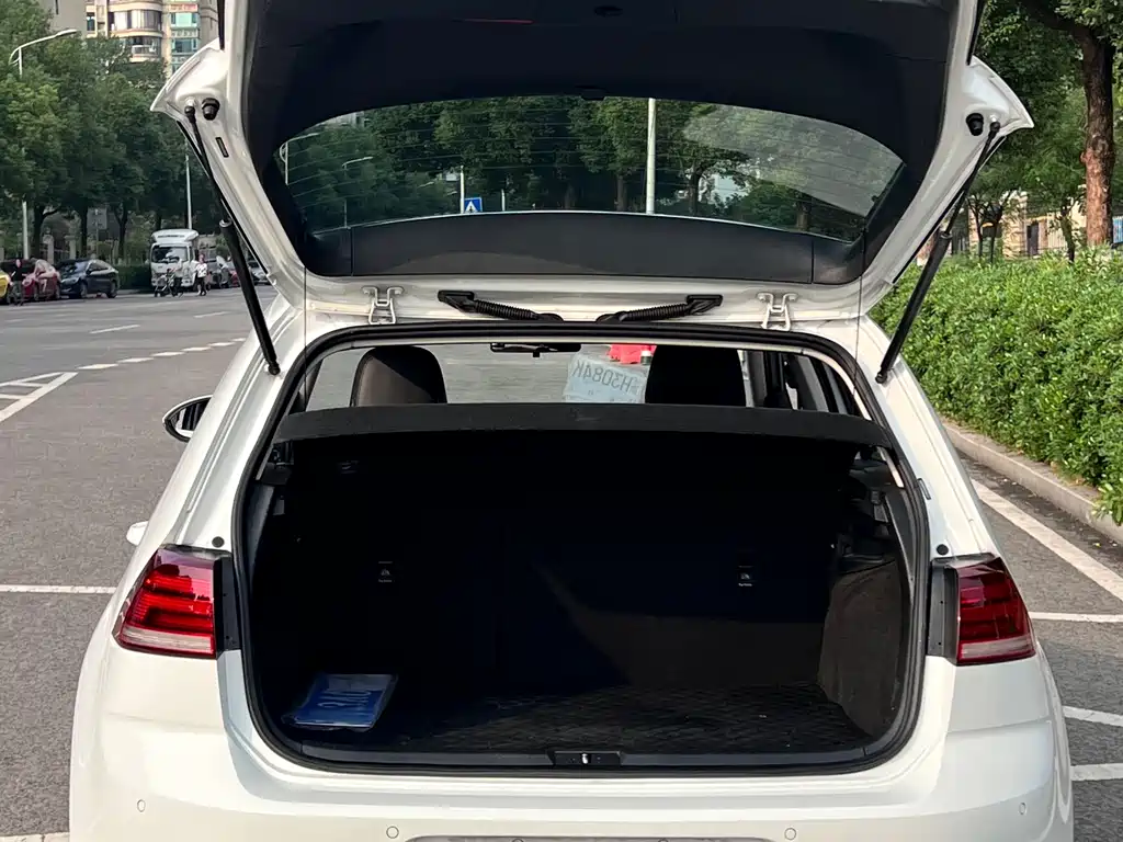 Volkswagen Golf — миниатюра 19