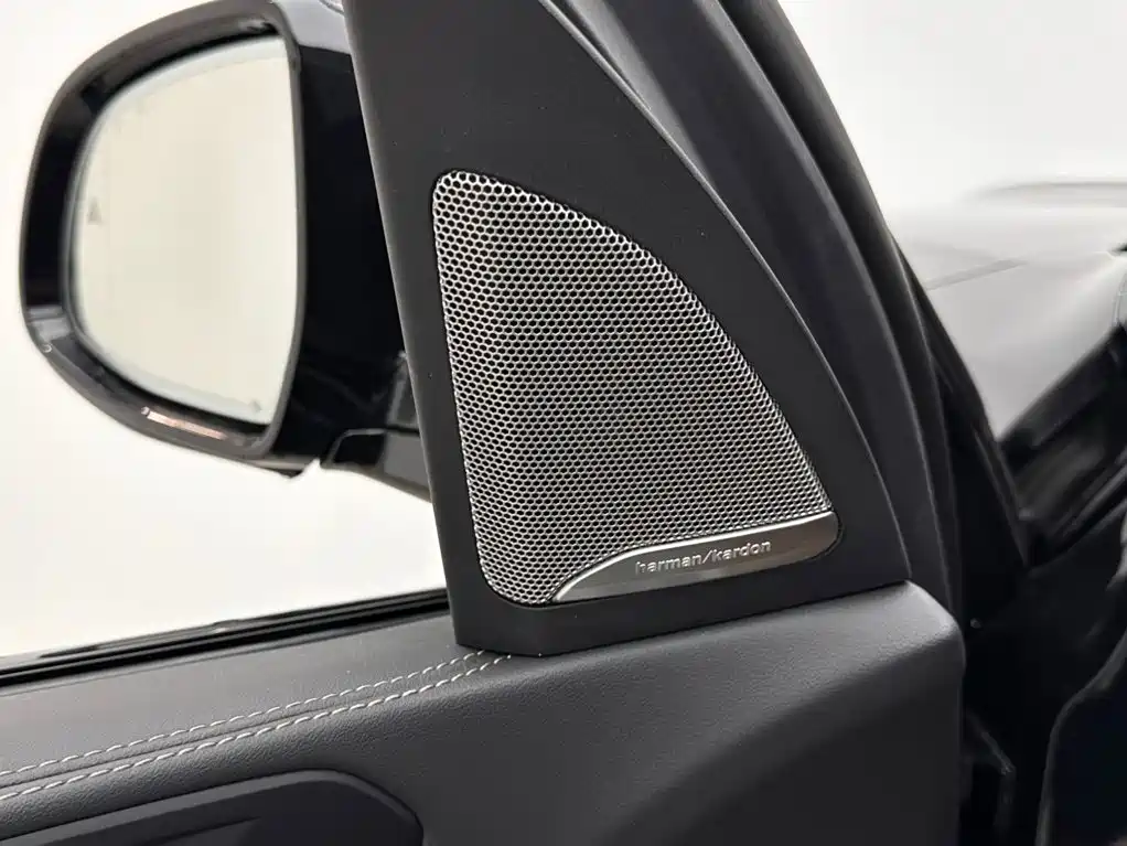 BMW X5 — миниатюра 15