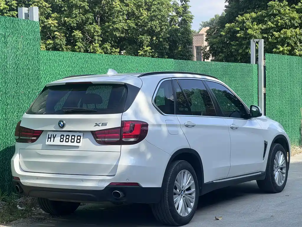 BMW X5 (Import) — миниатюра 6