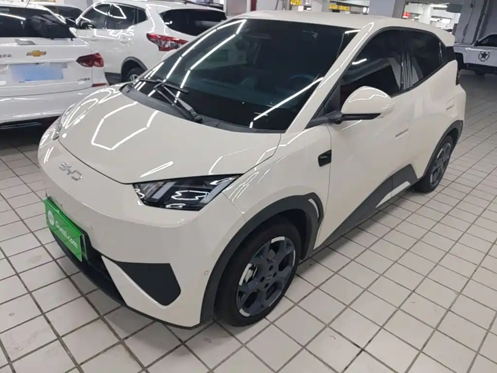 BYD Seagull