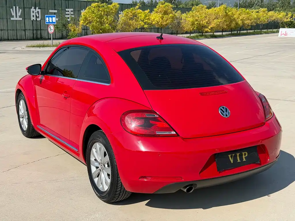 Volkswagen Beetle — миниатюра 19
