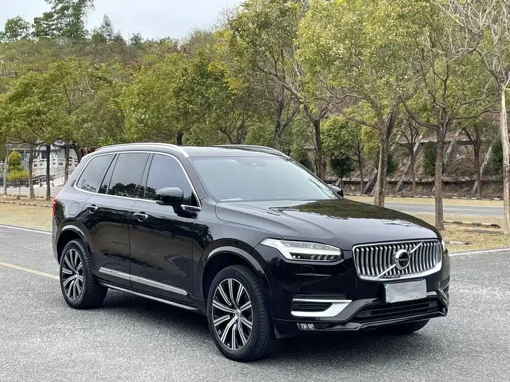 Volvo XC90 — миниатюра 3