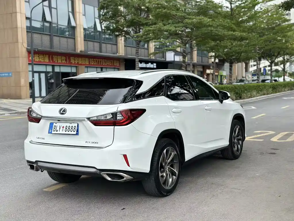 Lexus RX 300 4WD Elegant Edition China V, фото 11