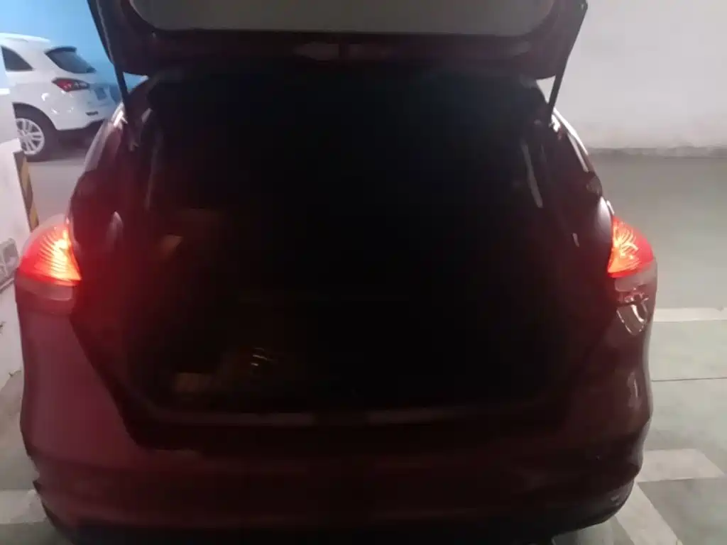 Ford Focus — миниатюра 19