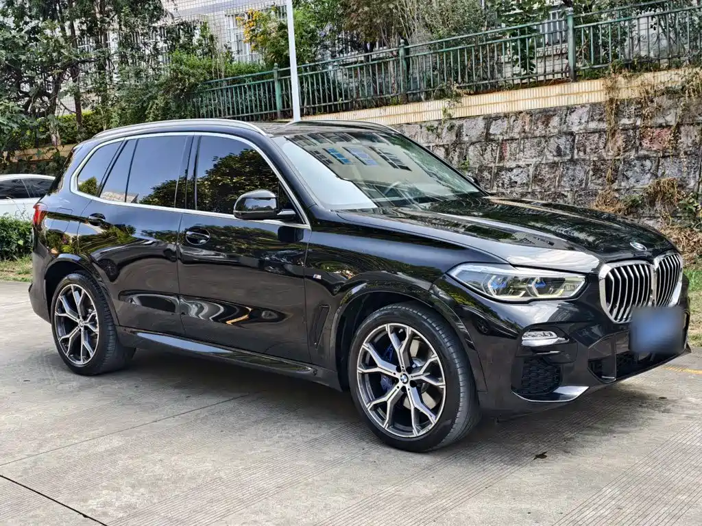 BMW X5 (Import) — миниатюра 7