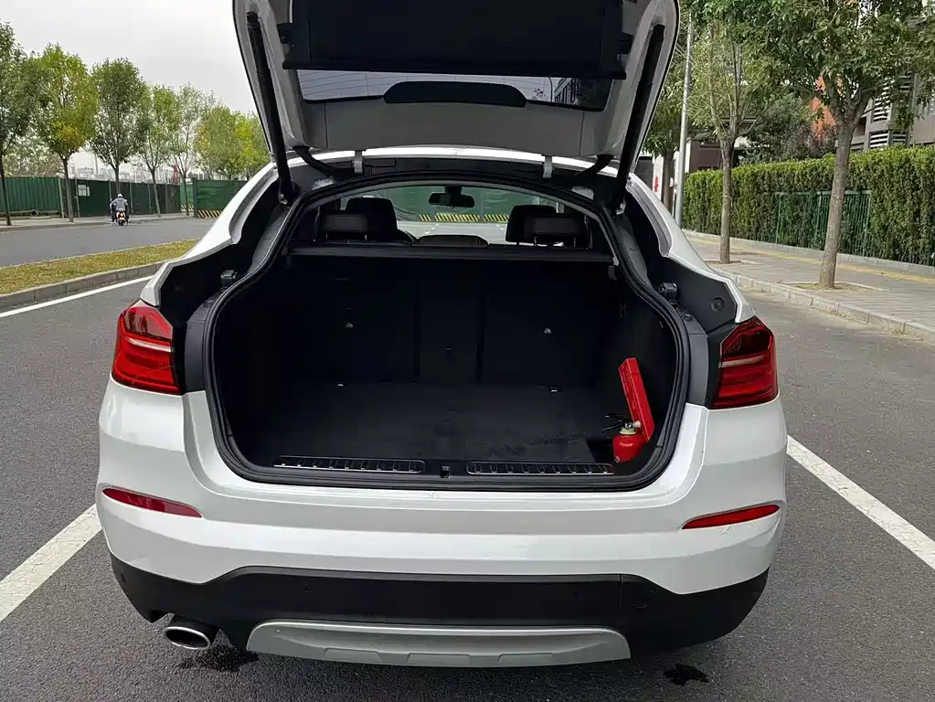BMW X4 — миниатюра 31