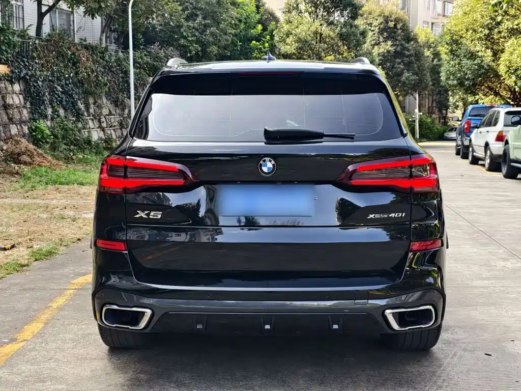 BMW X5 (Import) — миниатюра 10