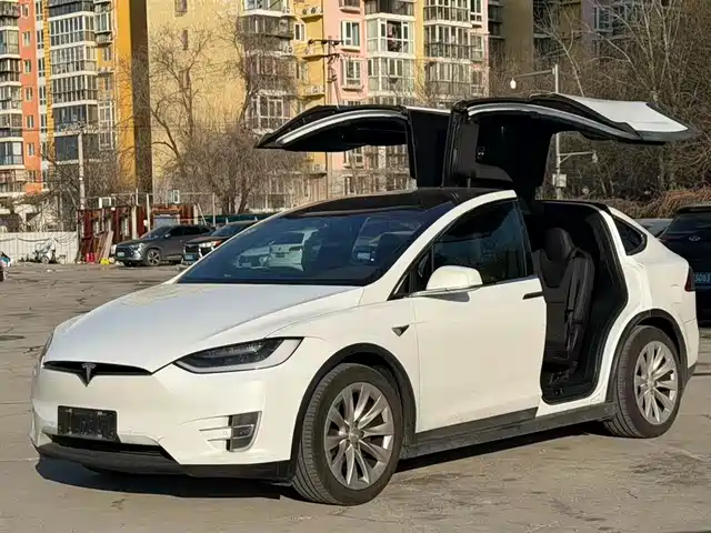 TESLA MODEL X 2019