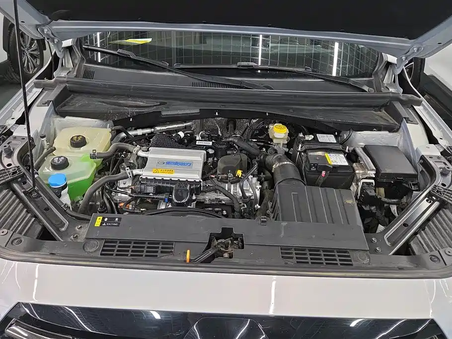 GAC GS4 2024 MAX 1.5T Flagship