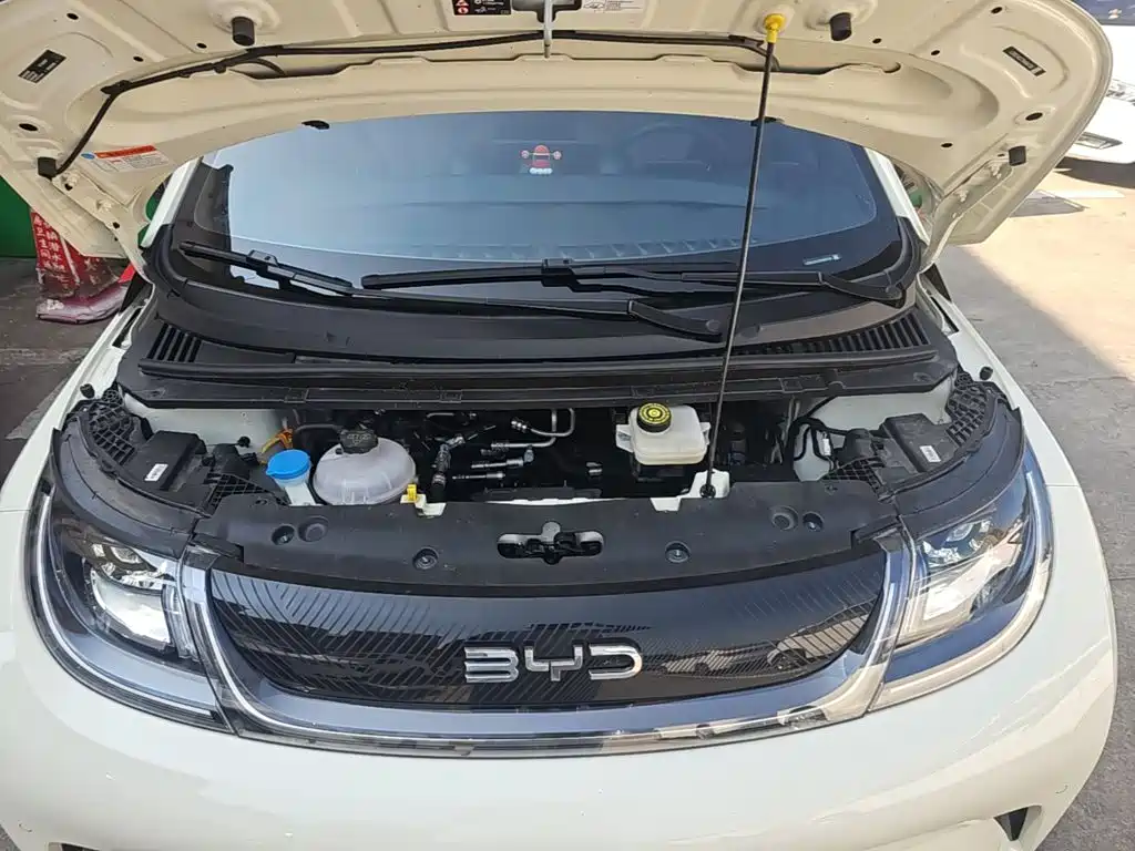 BYD Dolphin — миниатюра 20