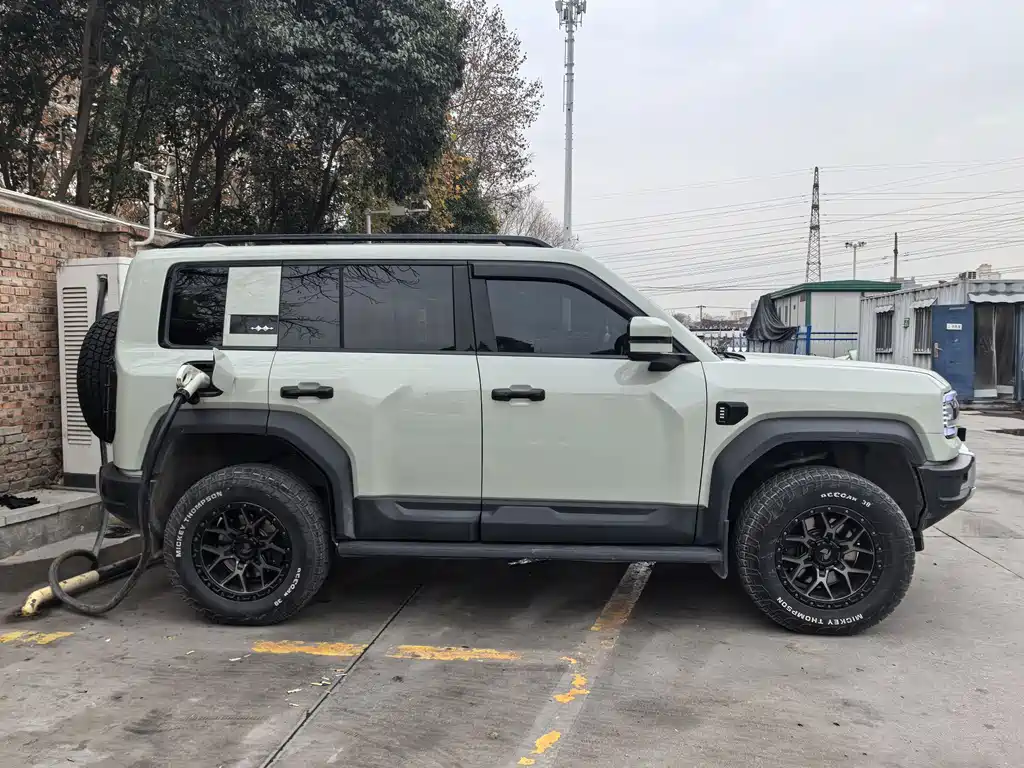 FANG CHENG BAO LEOPARD 5