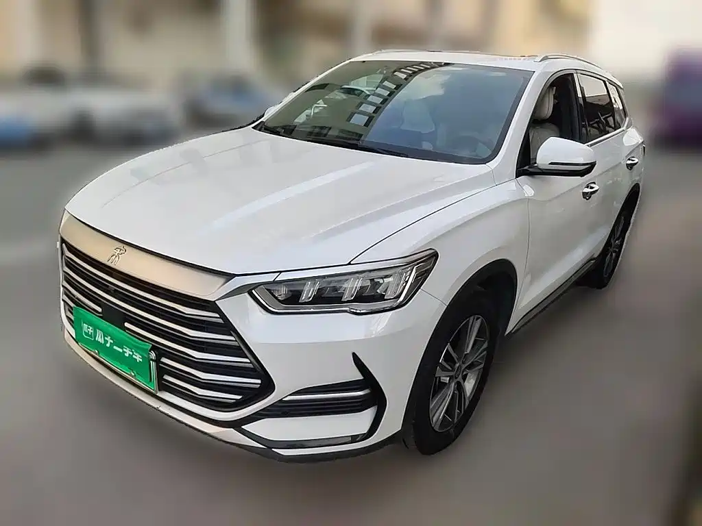BYD Pro New Energy — миниатюра 2