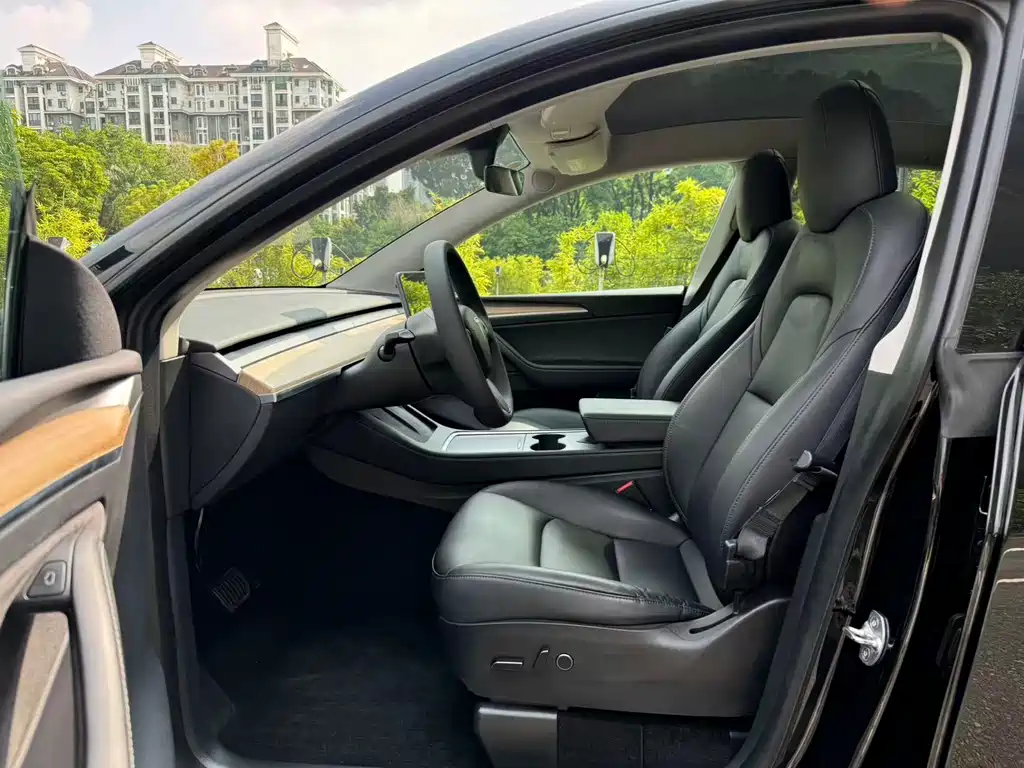 Tesla Model Y — миниатюра 5
