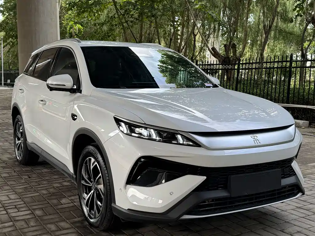 BYD Pro New Energy — миниатюра 2
