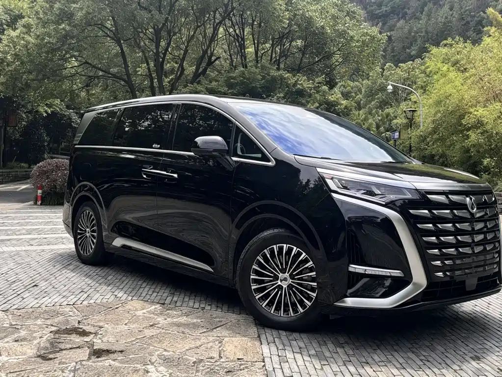 Denza D9 2022 DM-i 1040 Luxury