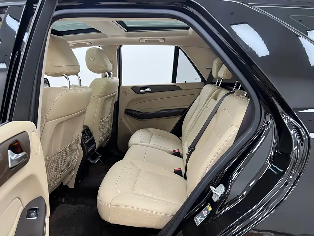 Mercedes-Benz GLE (Import) — миниатюра 12