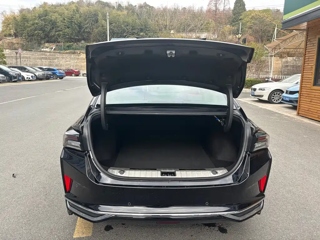 DONGFENG YI HYUN MAX