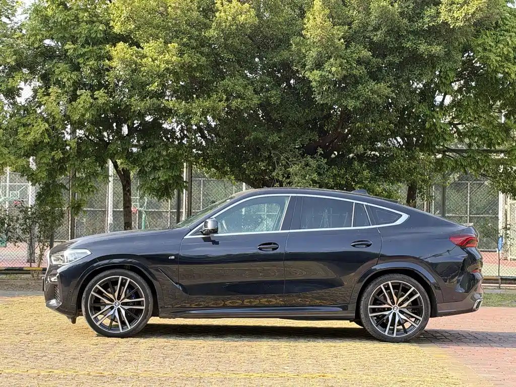 BMW X6 — миниатюра 7