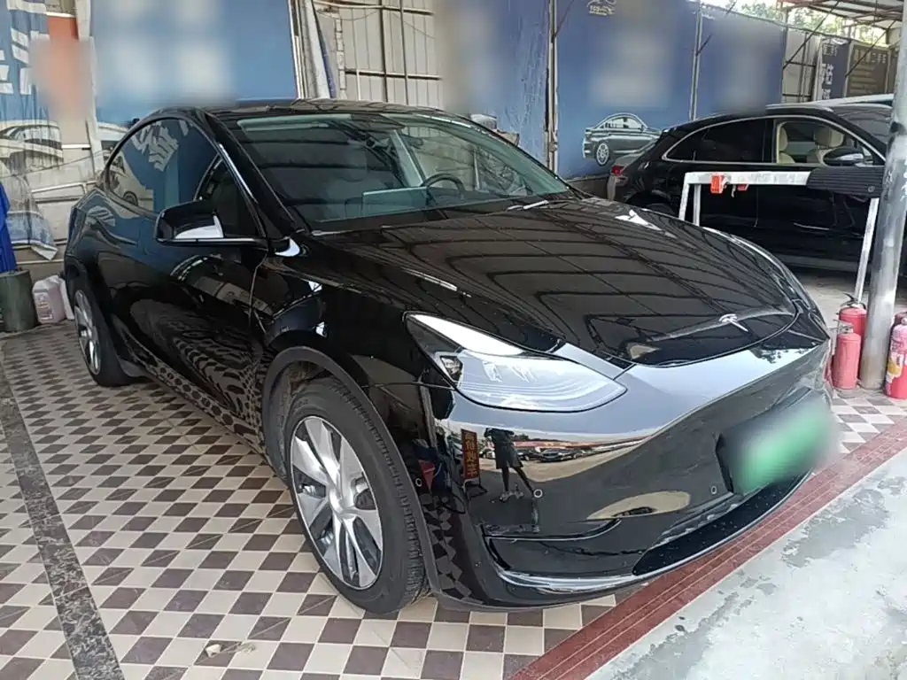 Tesla Model Y — миниатюра 4