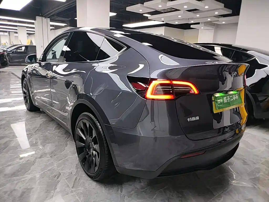 Tesla Model Y — миниатюра 5