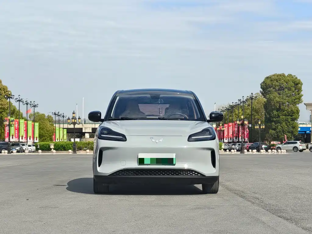 Wuling BinguoPLUS PLUS 2024 510km Flagship мест