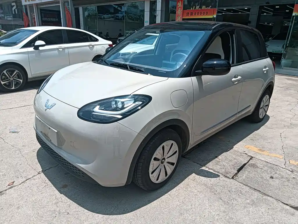 Wuling Binguo 2025 203km Light Enjoy
