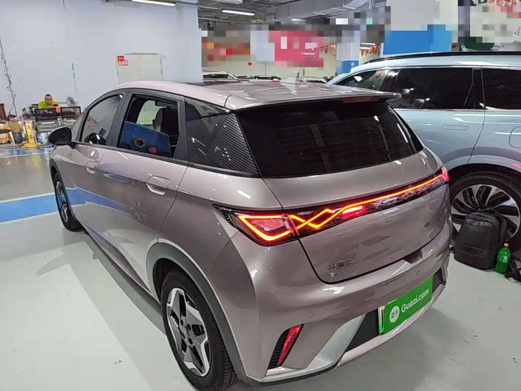 BYD Dolphin 2021 405km Fashion