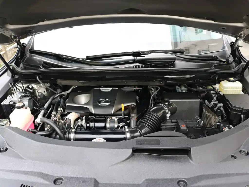 Lexus RX - фото 16
