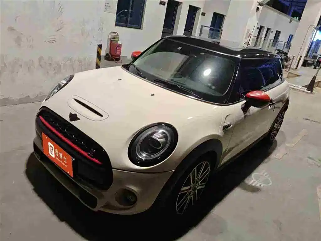 Mini Mini 2020