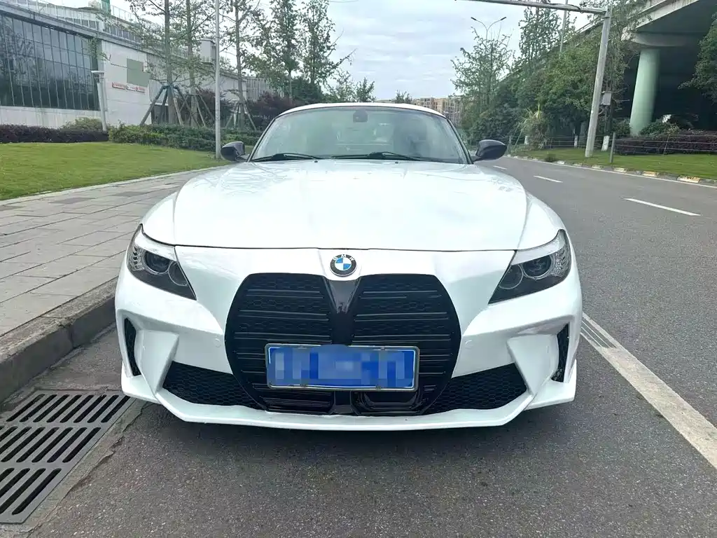 BMW Z4 2009 sDrive23i Lead