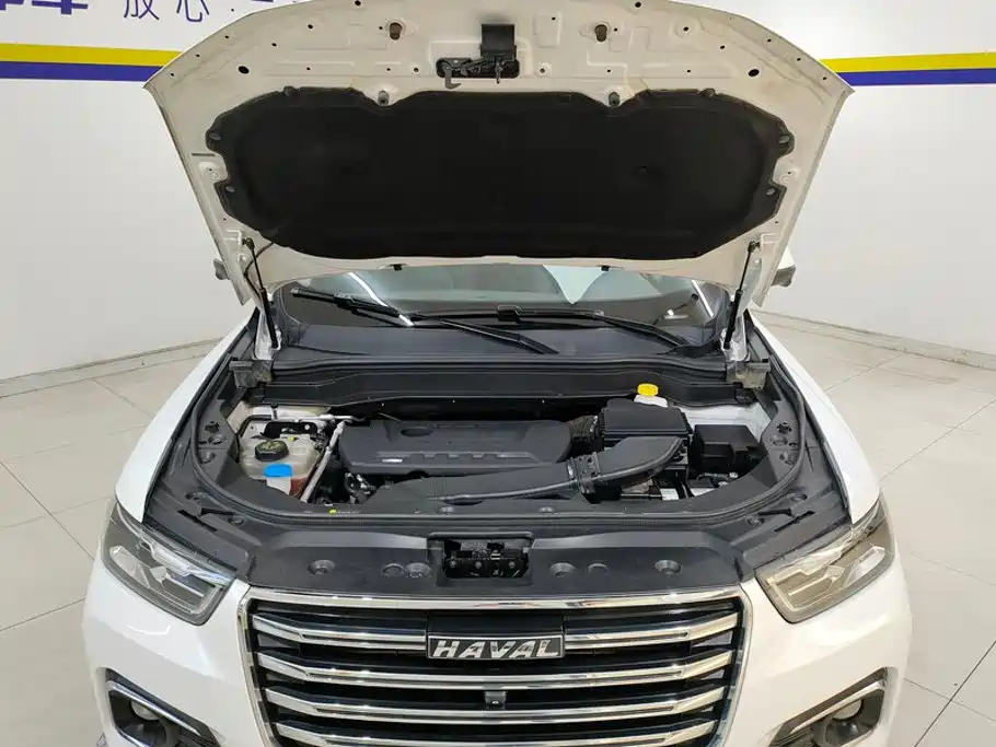 Haval H6 — миниатюра 10