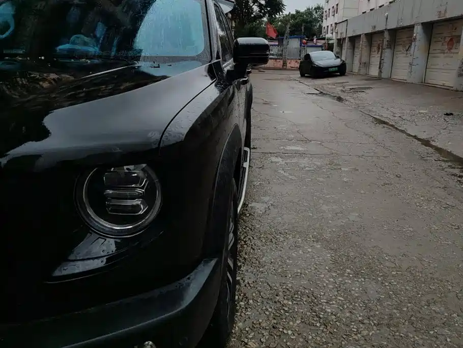 Haval Big Dog — миниатюра 5