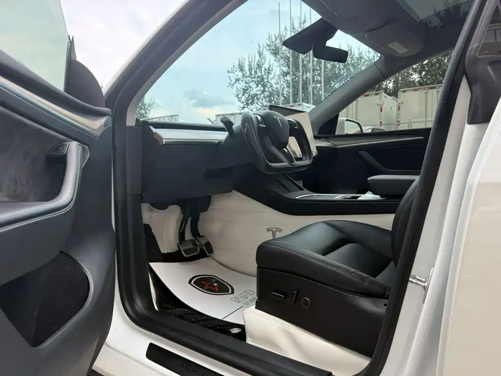 Tesla Model Y — миниатюра 8