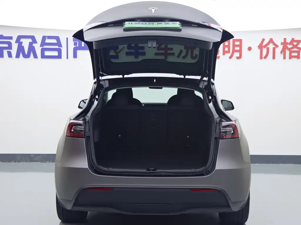 Tesla Model Y — миниатюра 19