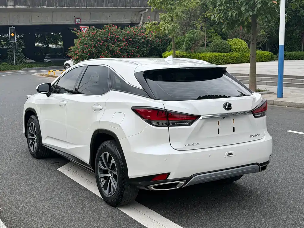 Lexus RX — миниатюра 16