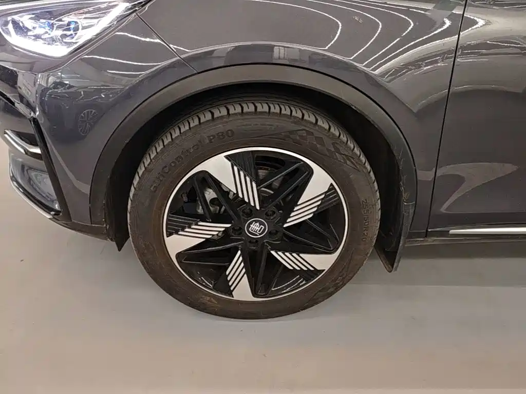 BYD Tang New Energy — миниатюра 23
