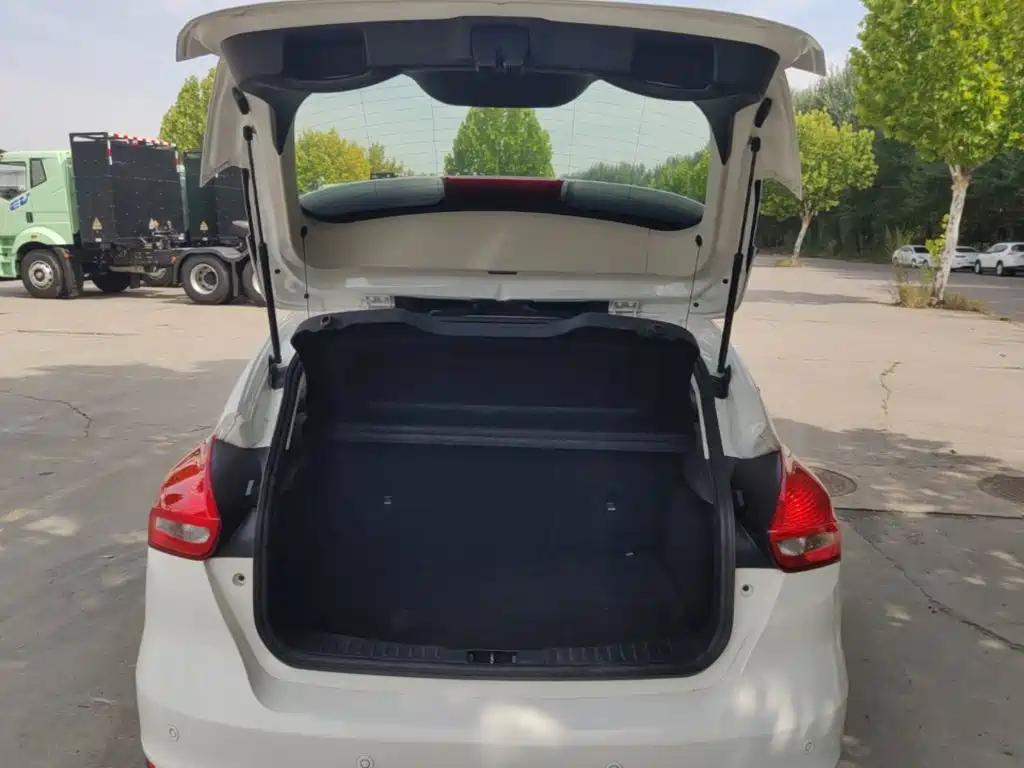 Ford Focus — миниатюра 19
