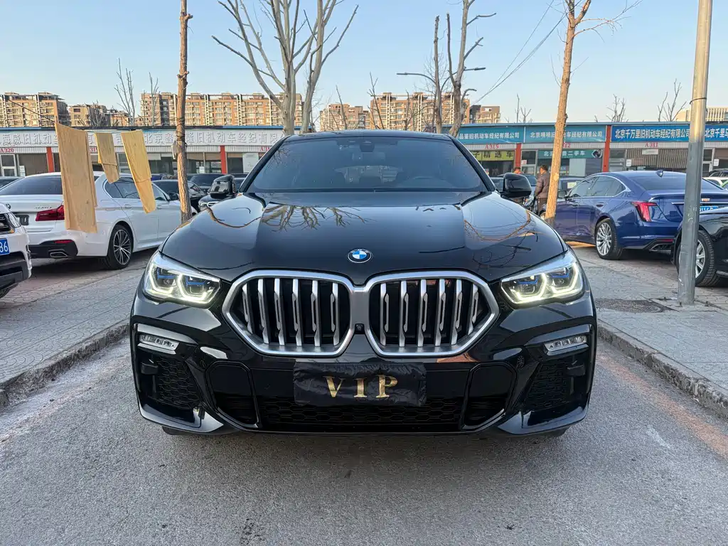 BMW X6