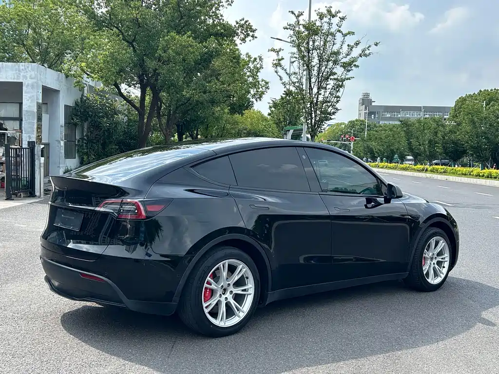 Tesla Model Y — миниатюра 8