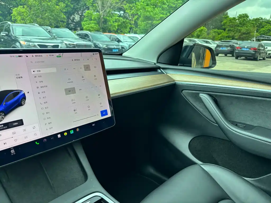 Tesla Model Y — миниатюра 30
