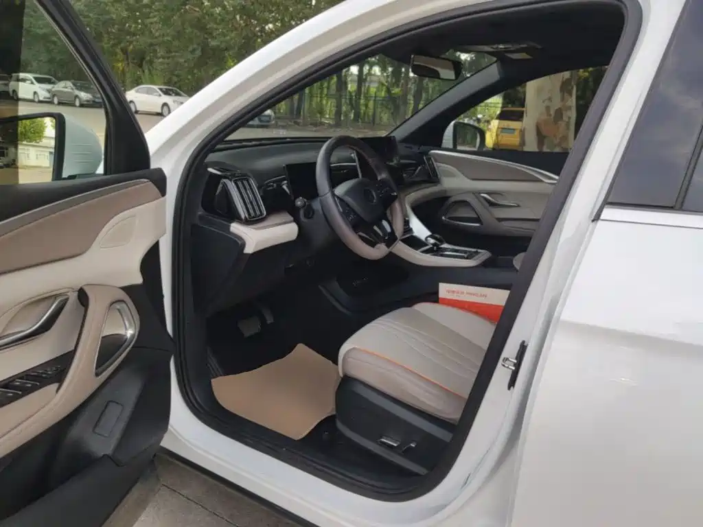 BYD Pro New Energy — миниатюра 16