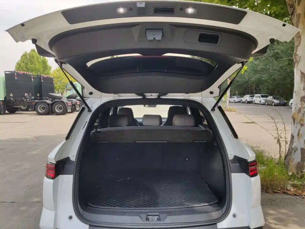 BYD Pro New Energy — миниатюра 19