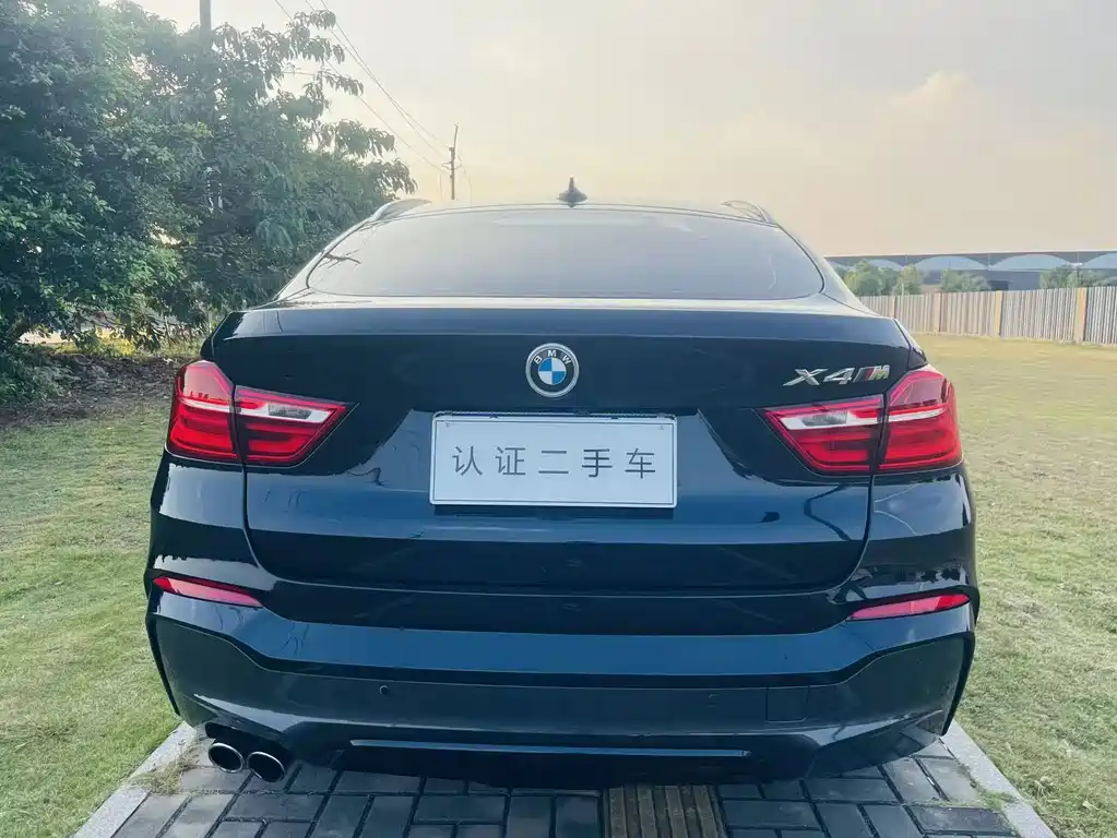 BMW X4 — миниатюра 5