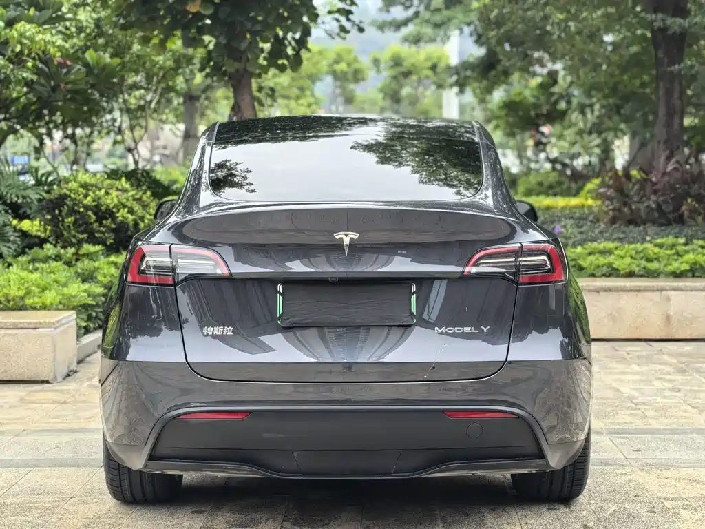 Tesla Model Y — миниатюра 9