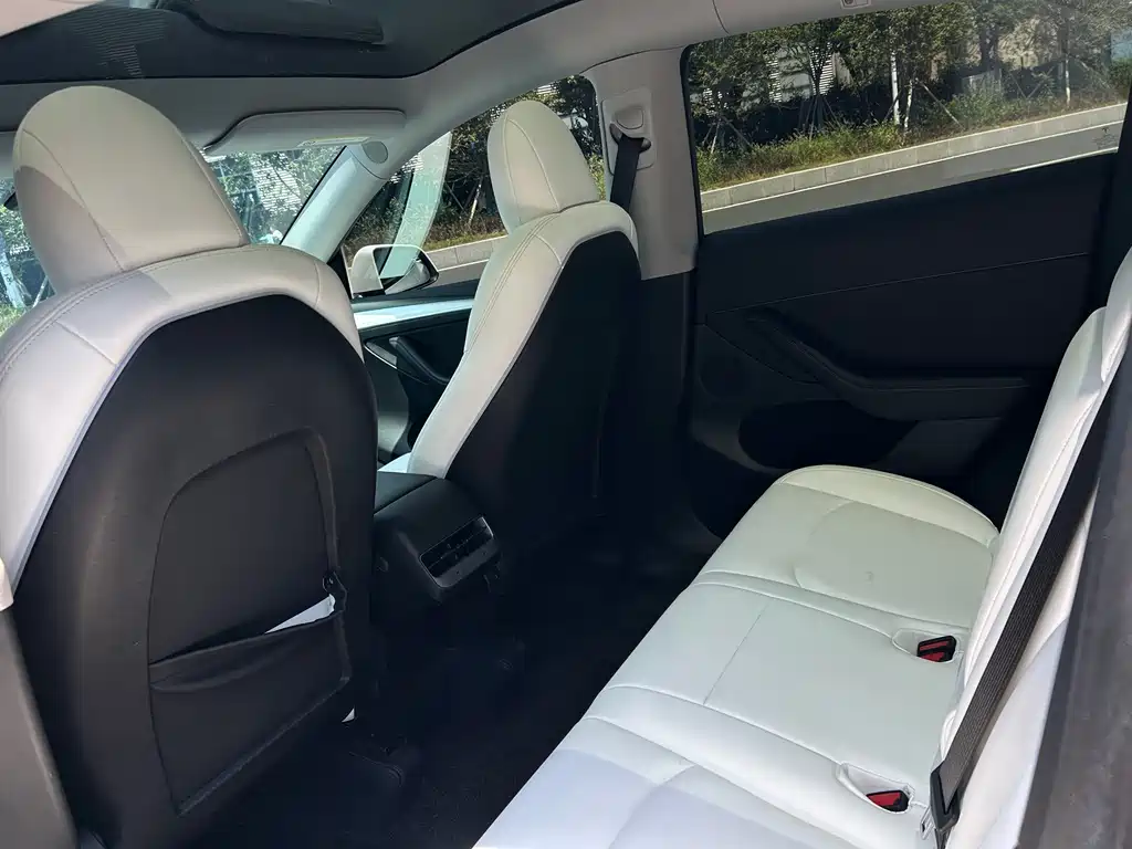 Tesla Model Y — миниатюра 5