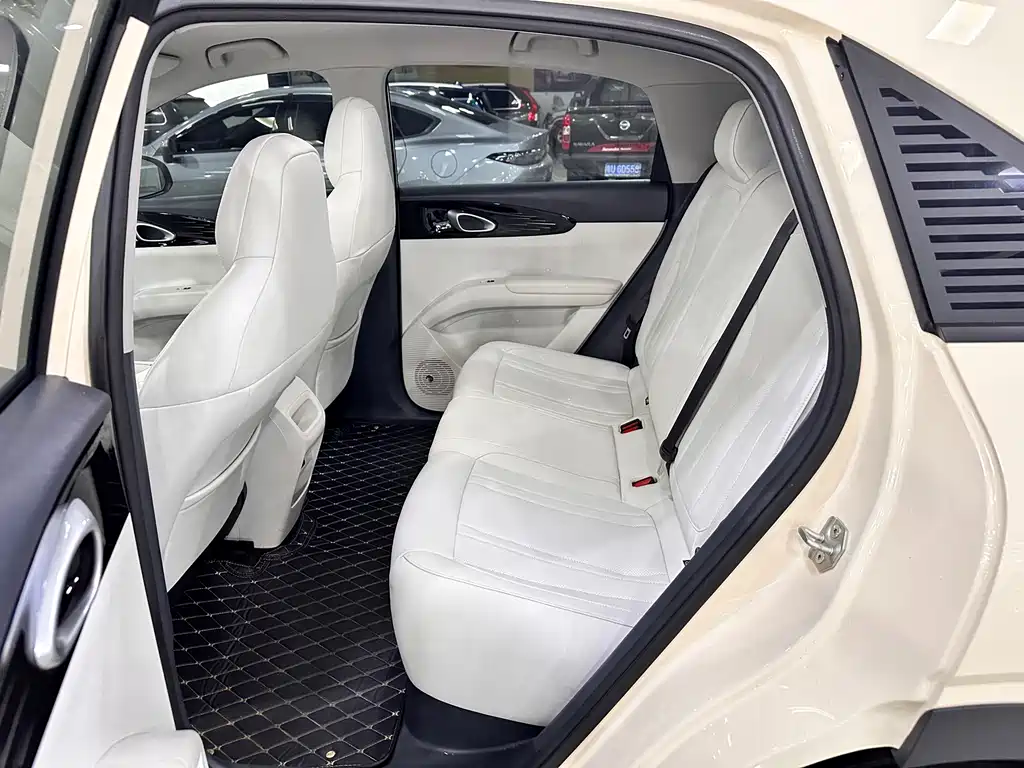 Geely Geome Xingyuan 2025 310km