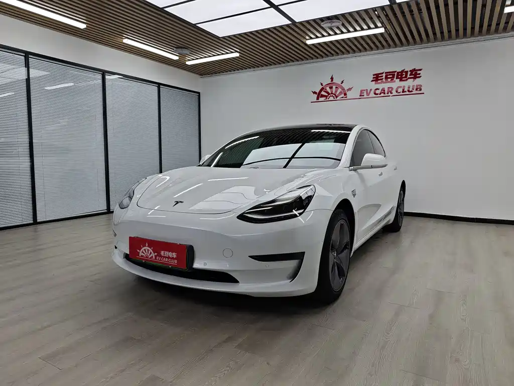Tesla Model 3 (Import) 2019 Long Range RWD Edition