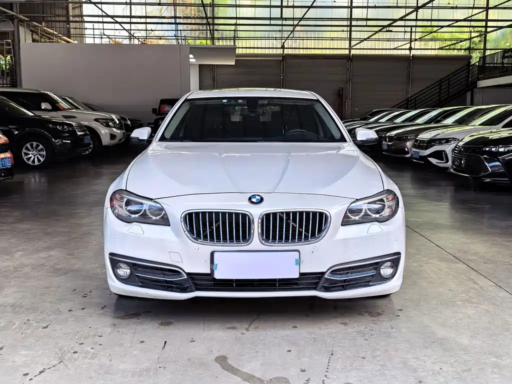 BMW 5 Series — миниатюра 6