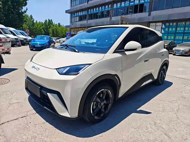 2023 BYD Seagull