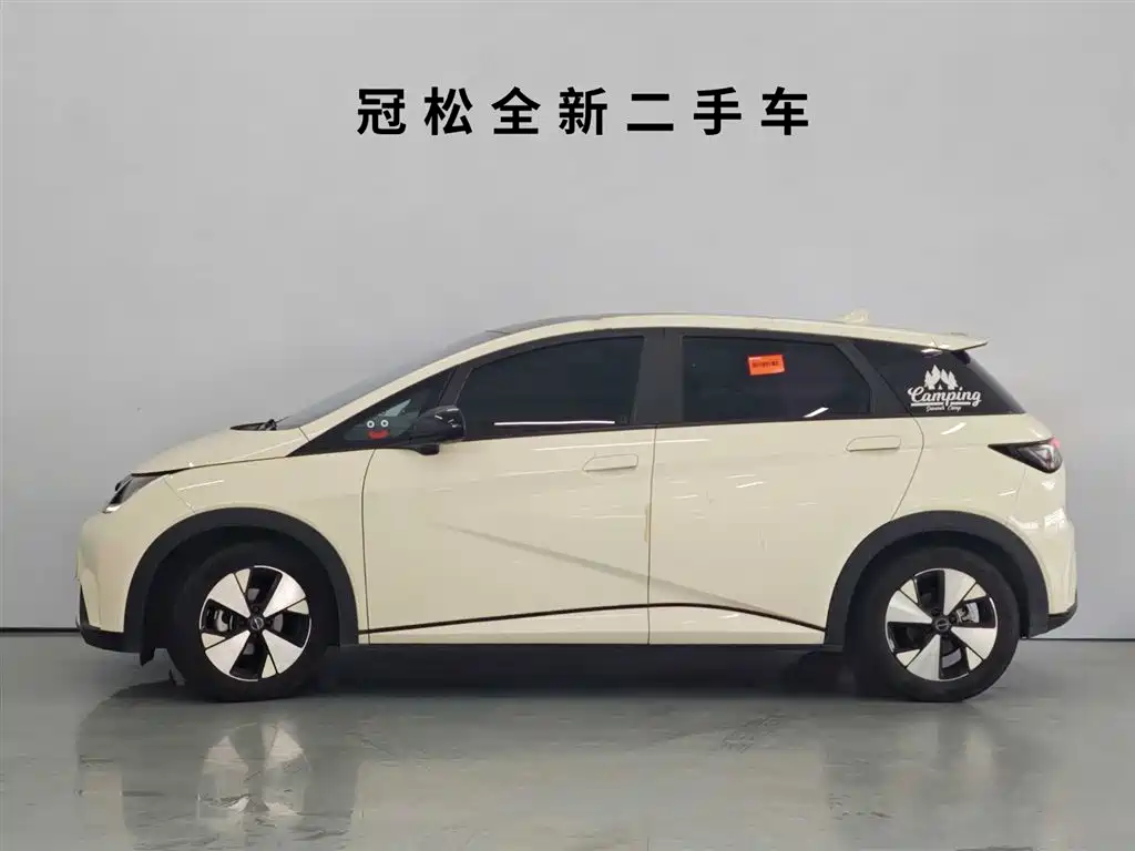 BYD Dolphin 2023 420km Fashion